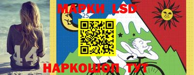 шишки Бузулук