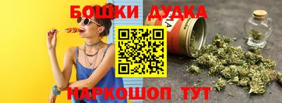 МДПВ Будённовск