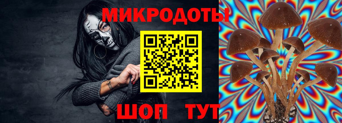 Среднеуральск  Псилоцибиновые грибы GOLDEN TEACHER  Псилоцибиновые грибы ЛСД  Вход с VPN 